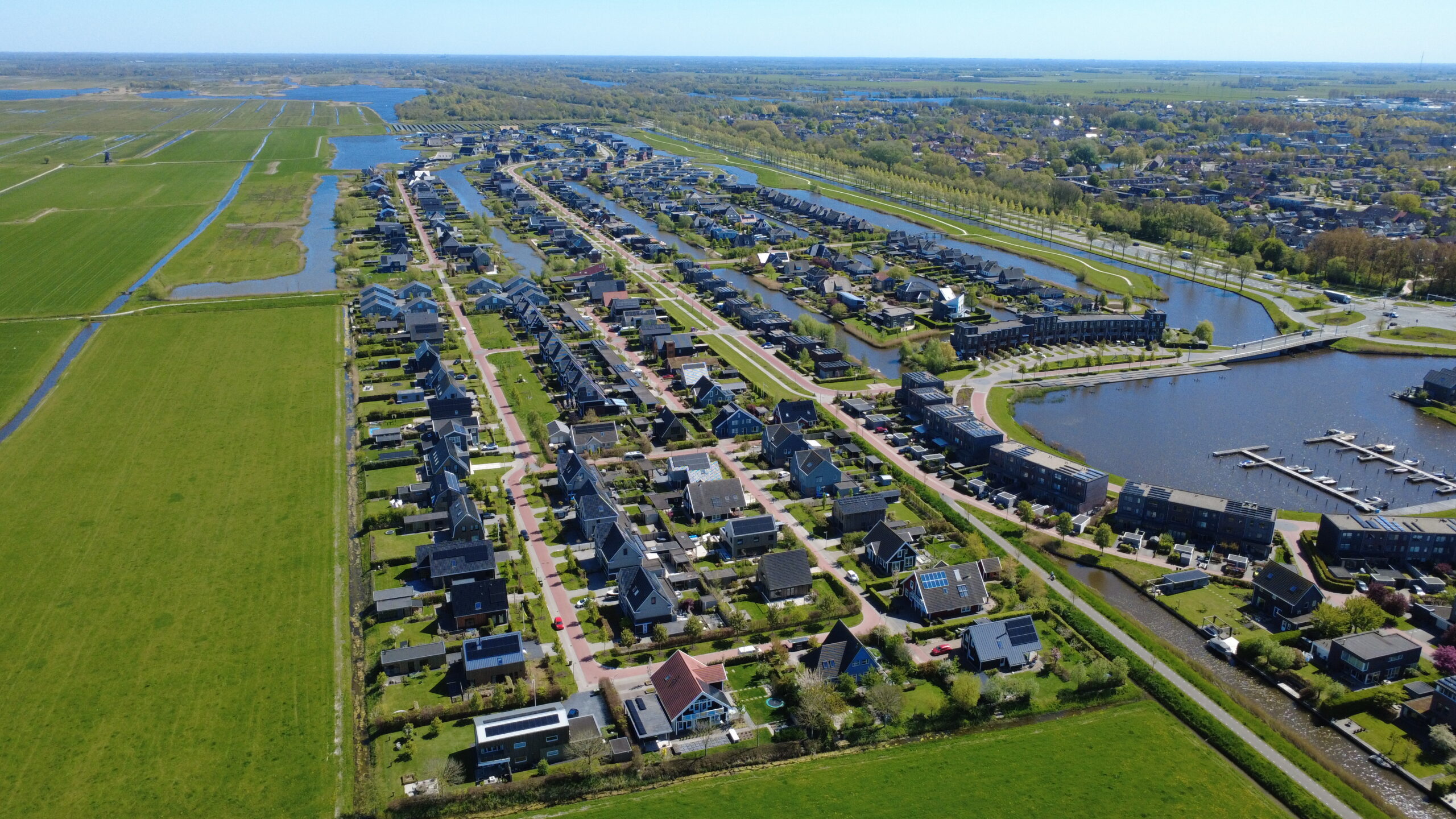 Blitsaard