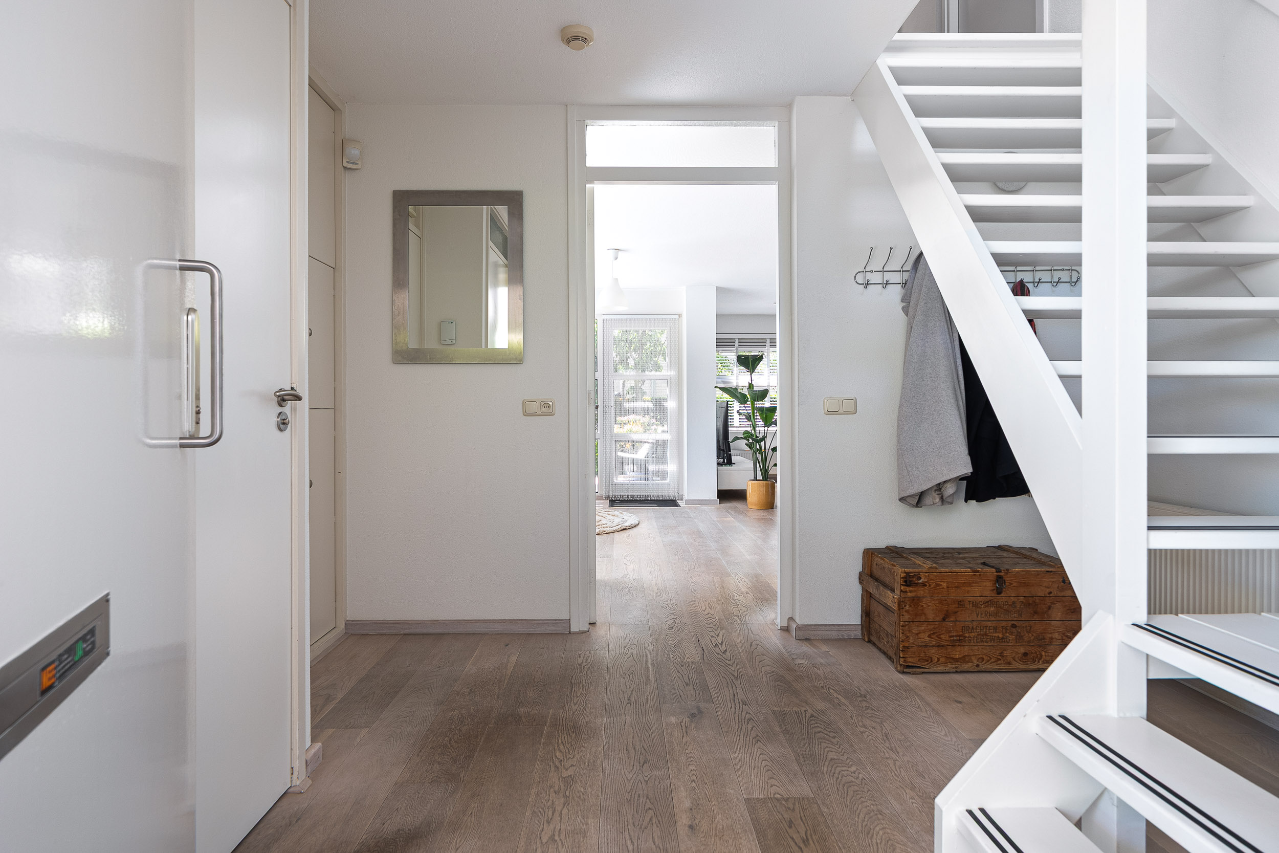 Broekfinne 38 - Gallery item 19