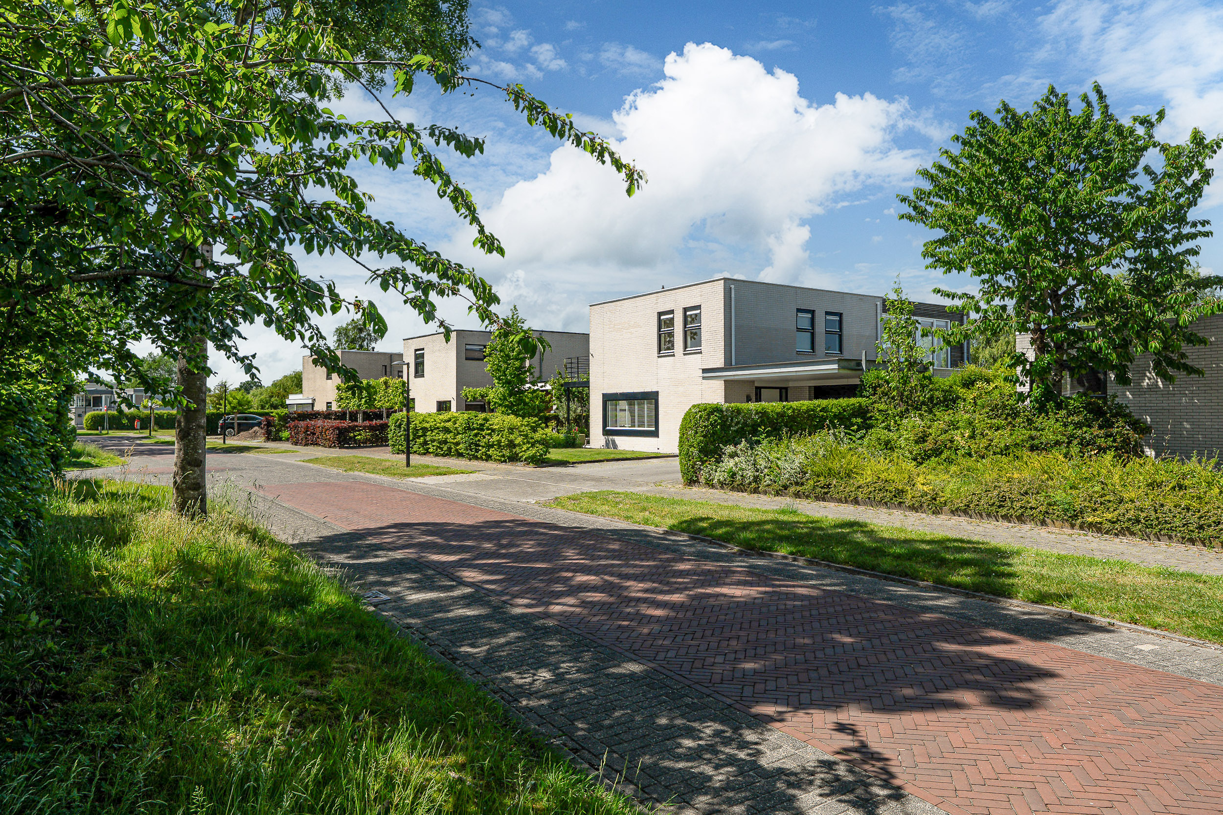 Broekfinne 38 - Gallery item 66