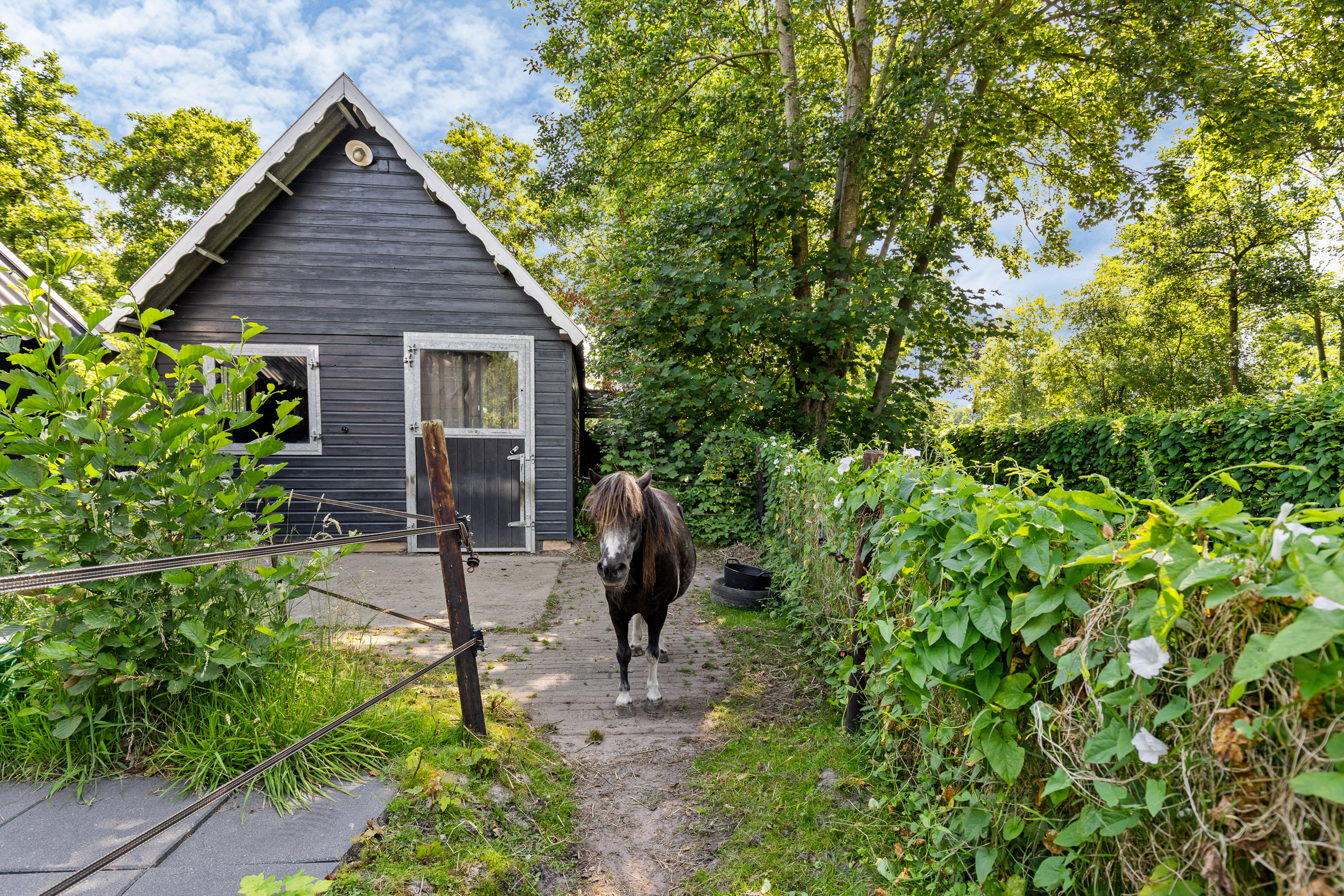 Lageweg 2 - Gallery item 59
