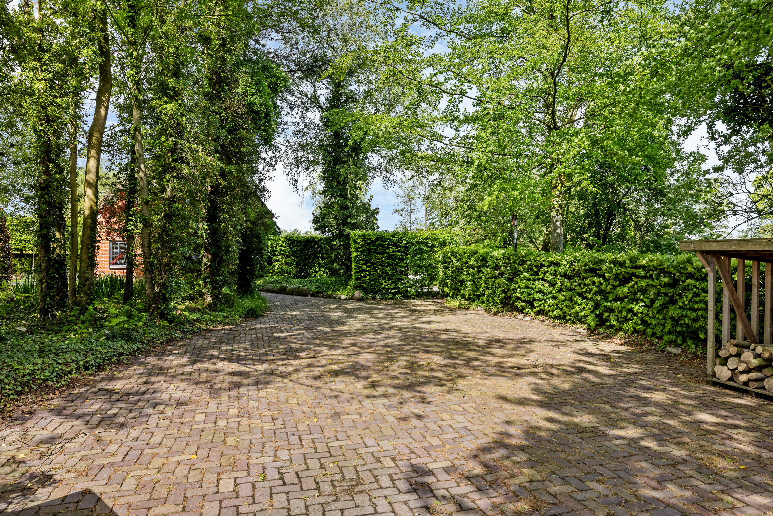 Allemawei 3 - Gallery item 97