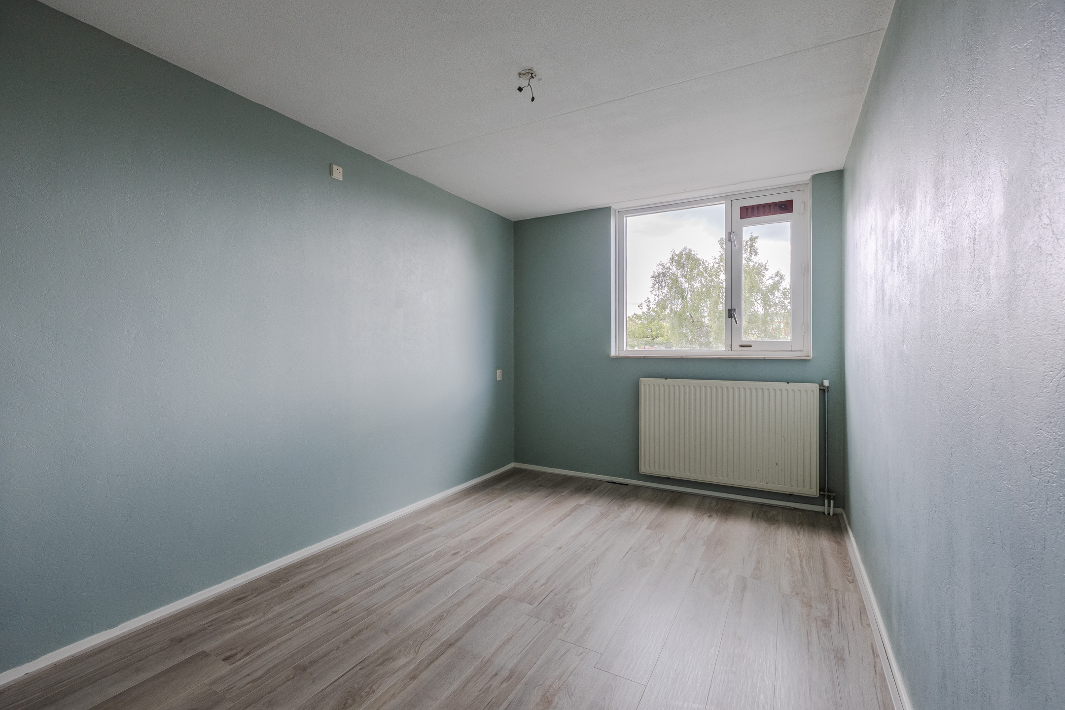 Bielzen 25 - Gallery item 22