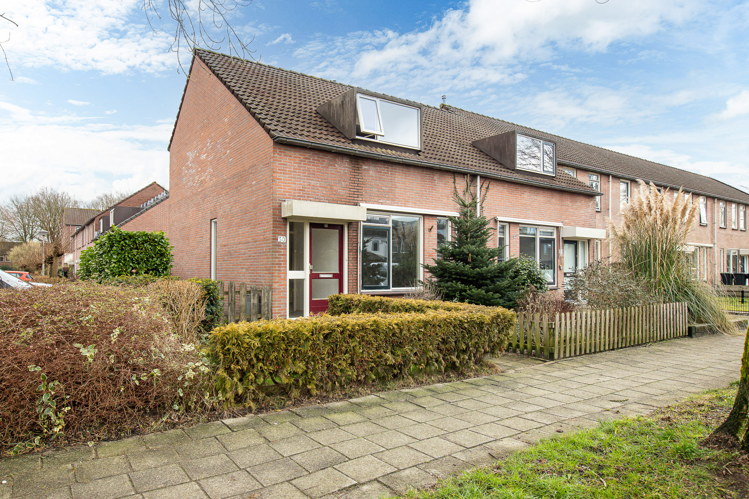 Rattelwacht 50