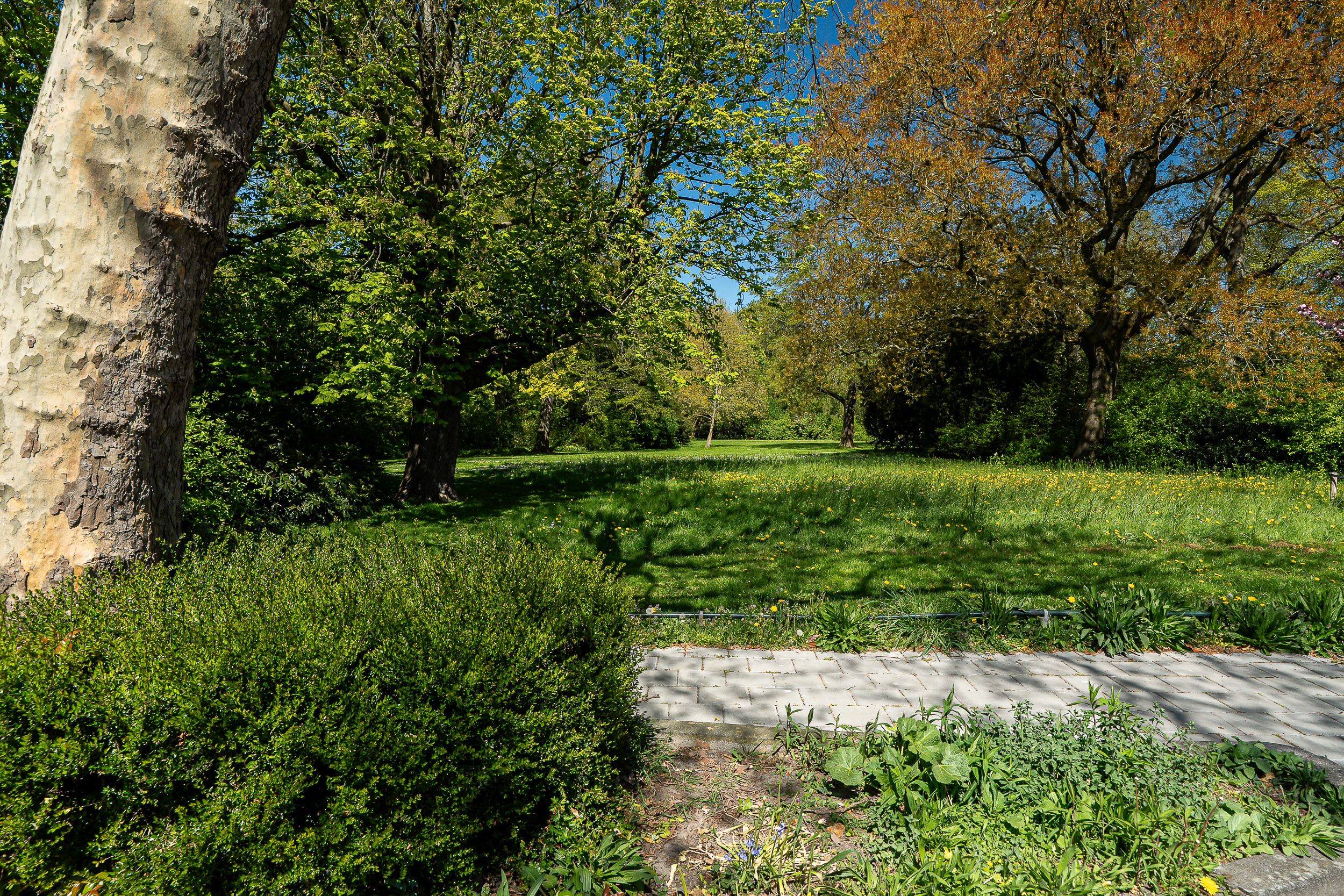 Pasteurweg 46 - Gallery item 78