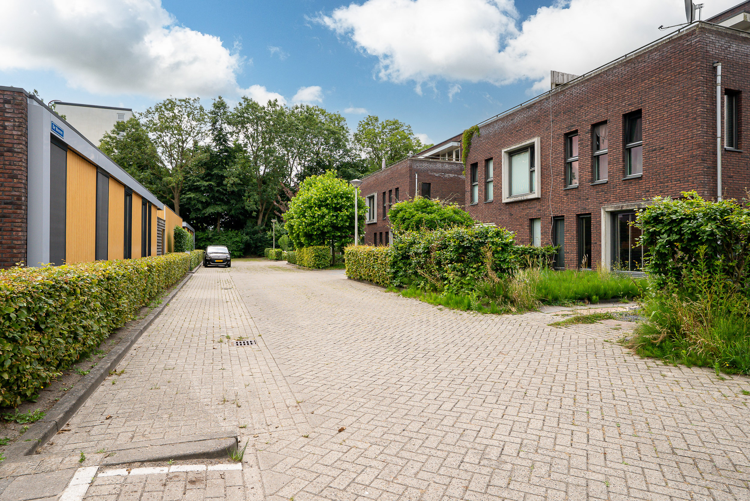de Weeren 8 - Gallery item 37
