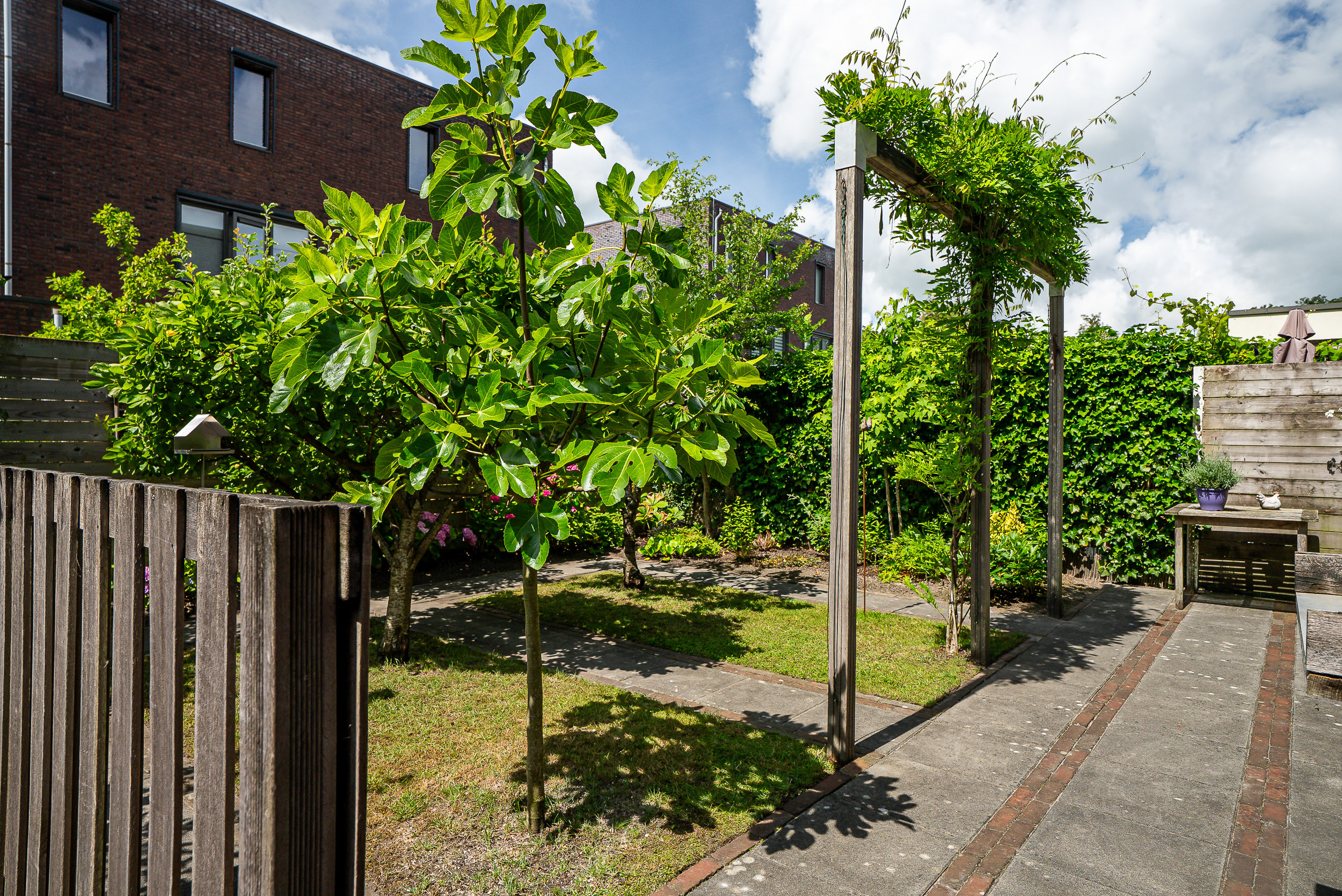 de Weeren 8 - Gallery item 35