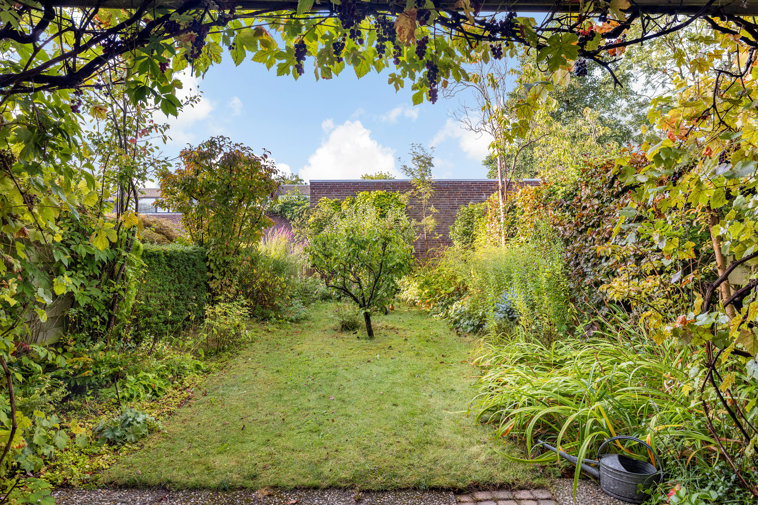 Weideflora 22 - Gallery item 30