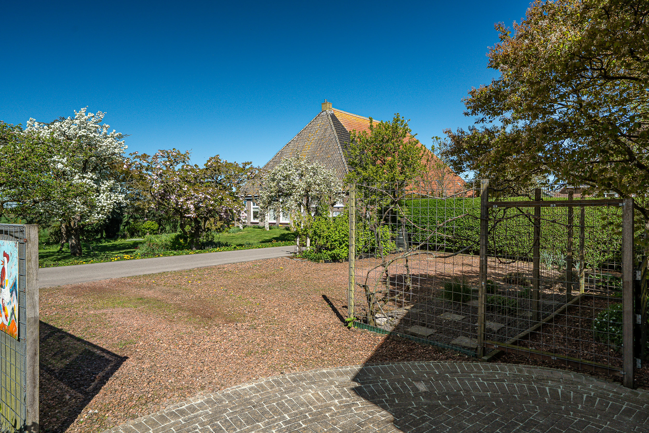Buorren 12 - Gallery item 57