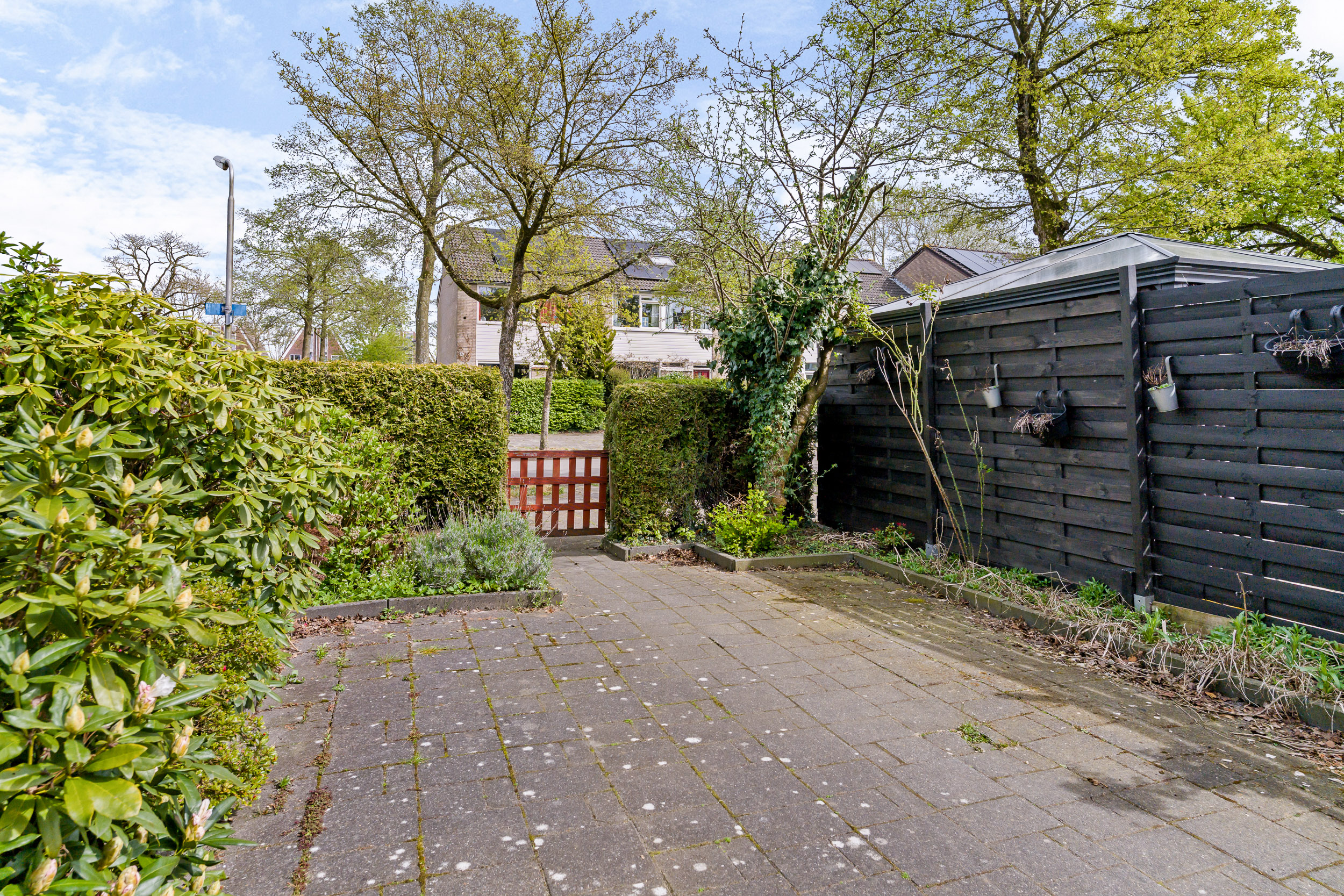 Wilgenroosje 33 - Media 3
