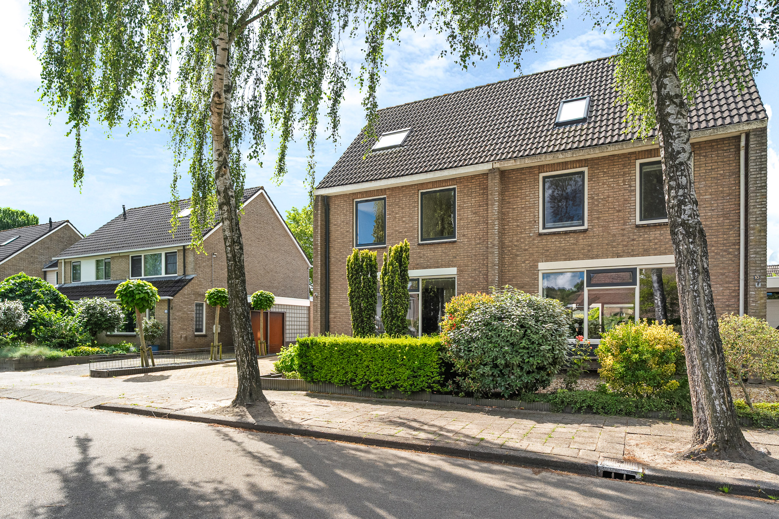 Solckamastins 12 - Gallery item 46