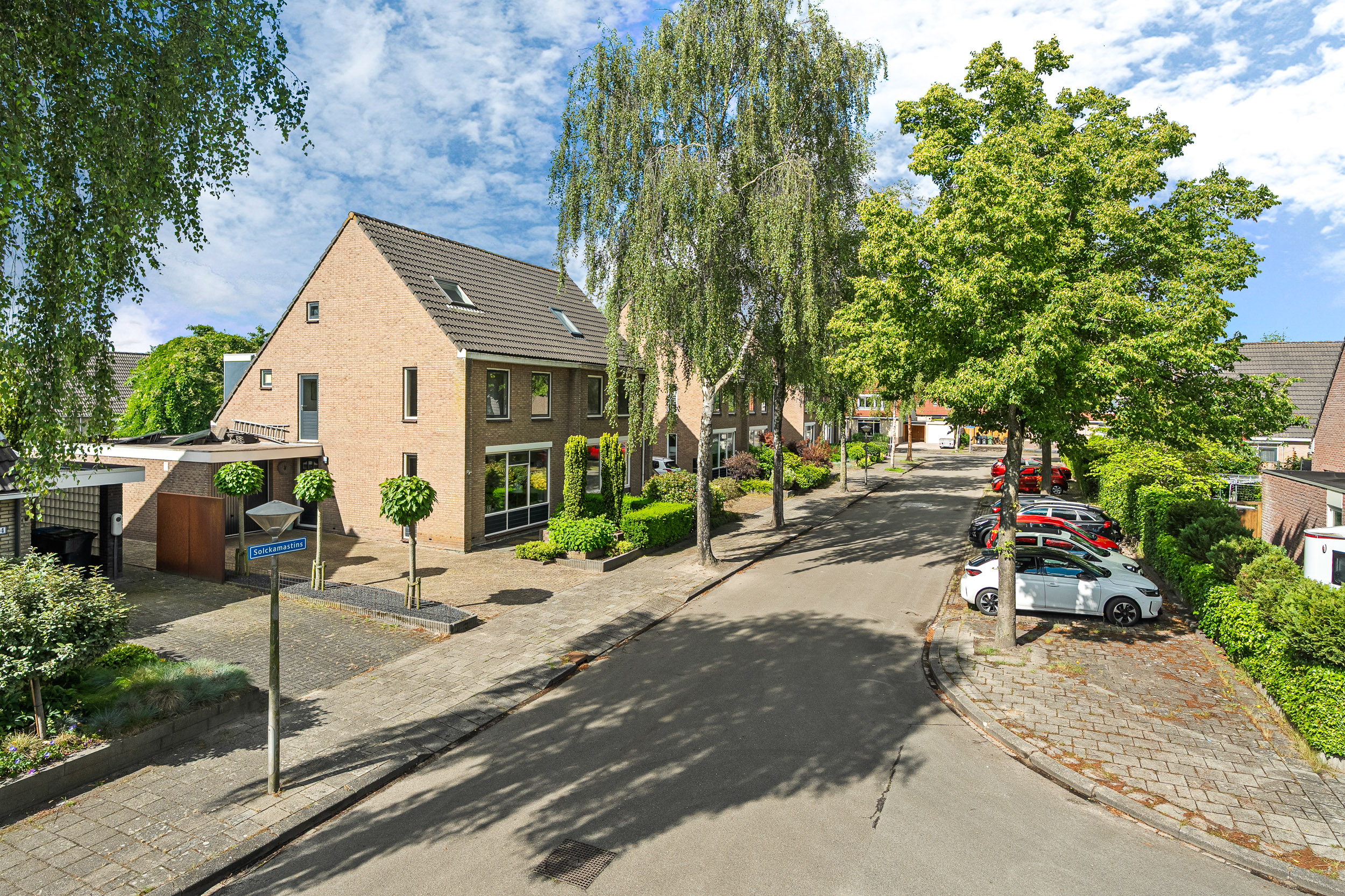 Solckamastins 12 - Gallery item 47