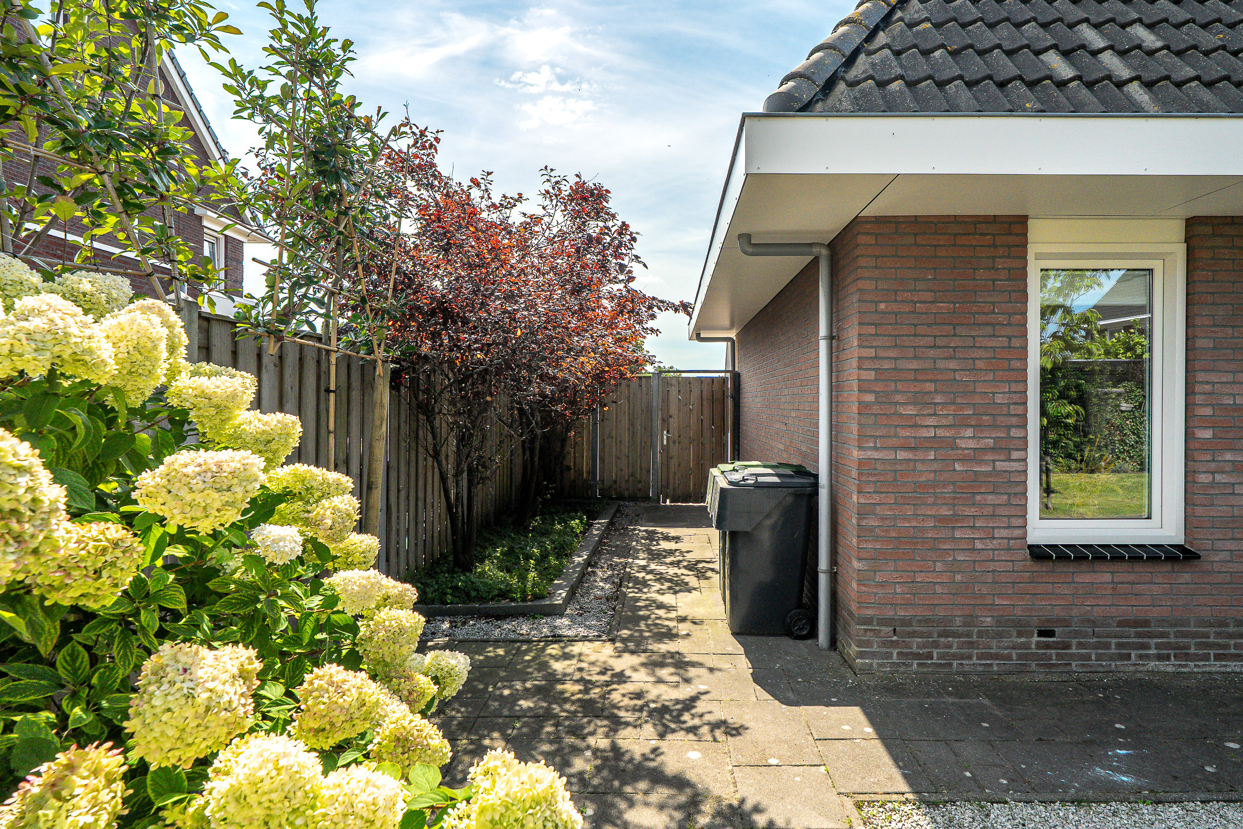 Noorderbalgen 3 - Gallery item 30
