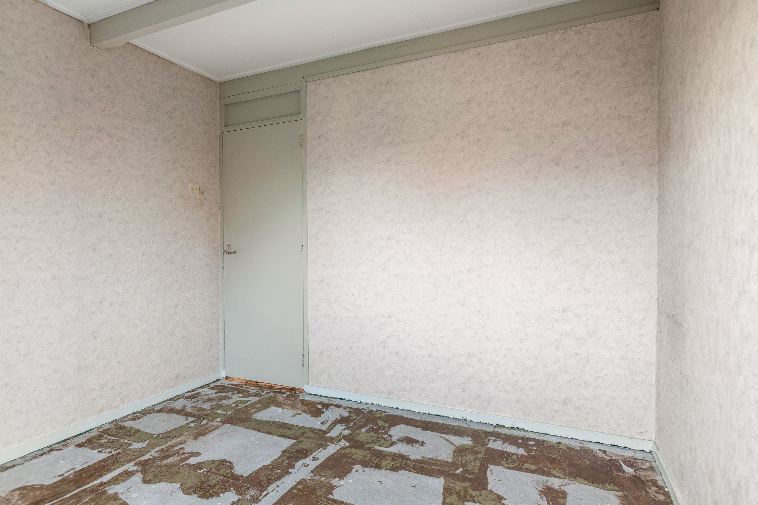 Blomfinne 2 - Gallery item 21