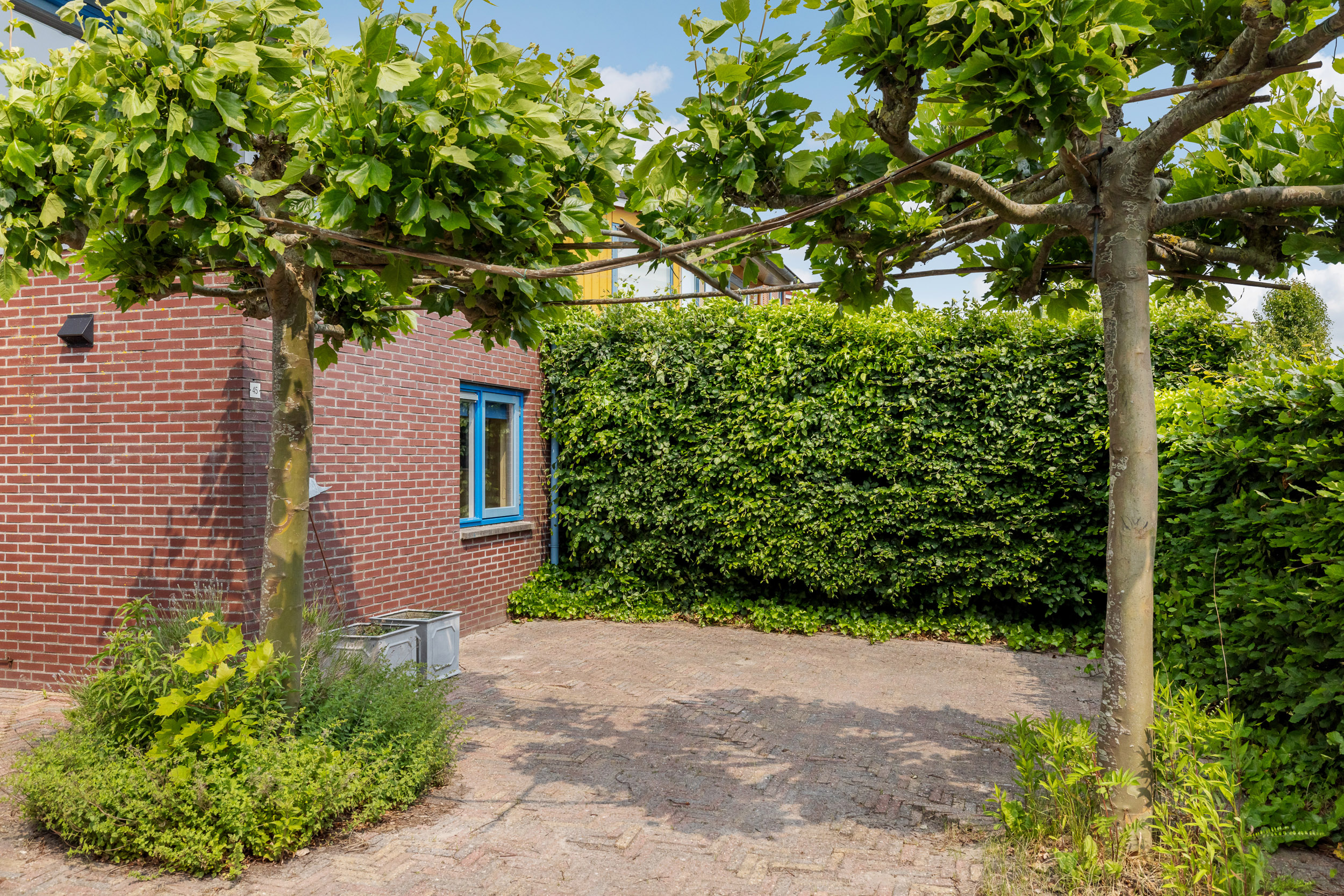 Gouden Boaijum 45 - Gallery item 5
