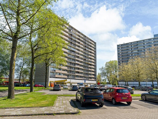 Tjaarda 308 DRACHTEN Tjaarda 308 DRACHTEN